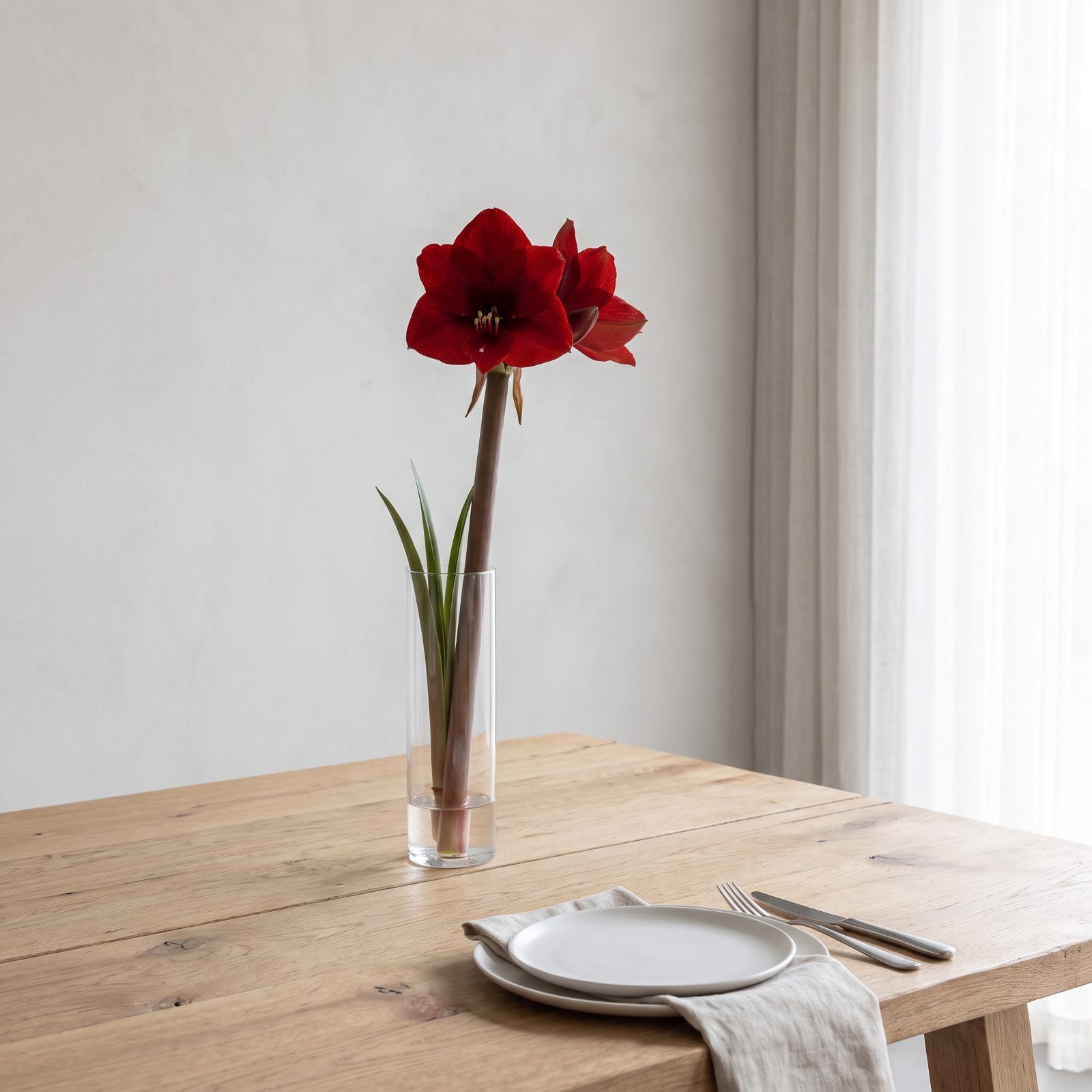 The Table With One Dramatic Amaryllis as Its Centerpiece